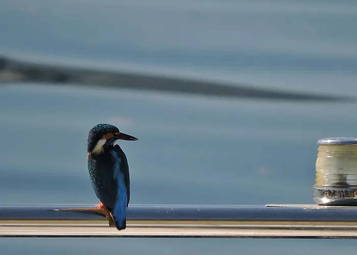 Ξενοδοχείο Capri Lesa